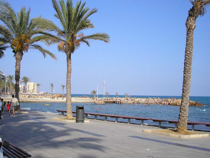 Rent Torrevieja - Large Picture - Torrevieja Promenade